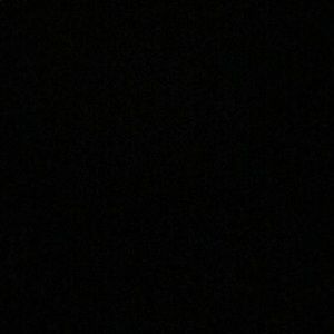 Meet your Posher, Chase